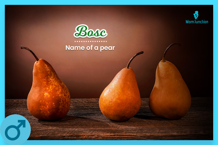 Bosc is the name of a pear