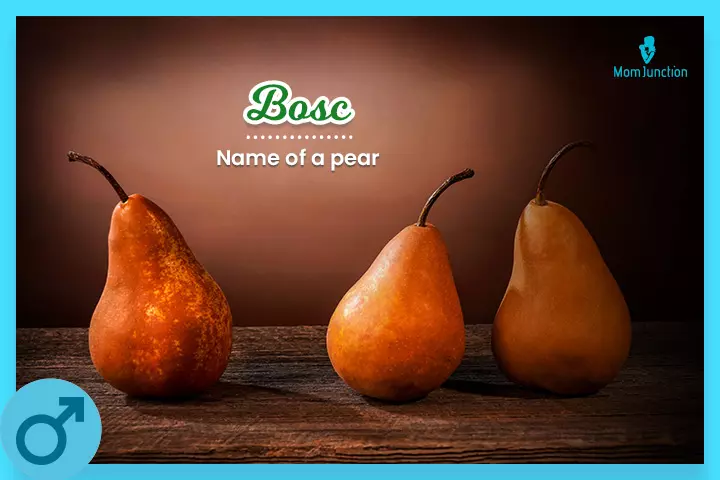 Bosc is the name of a pear