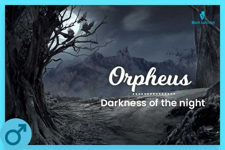 Orpheus: Darkness of the night