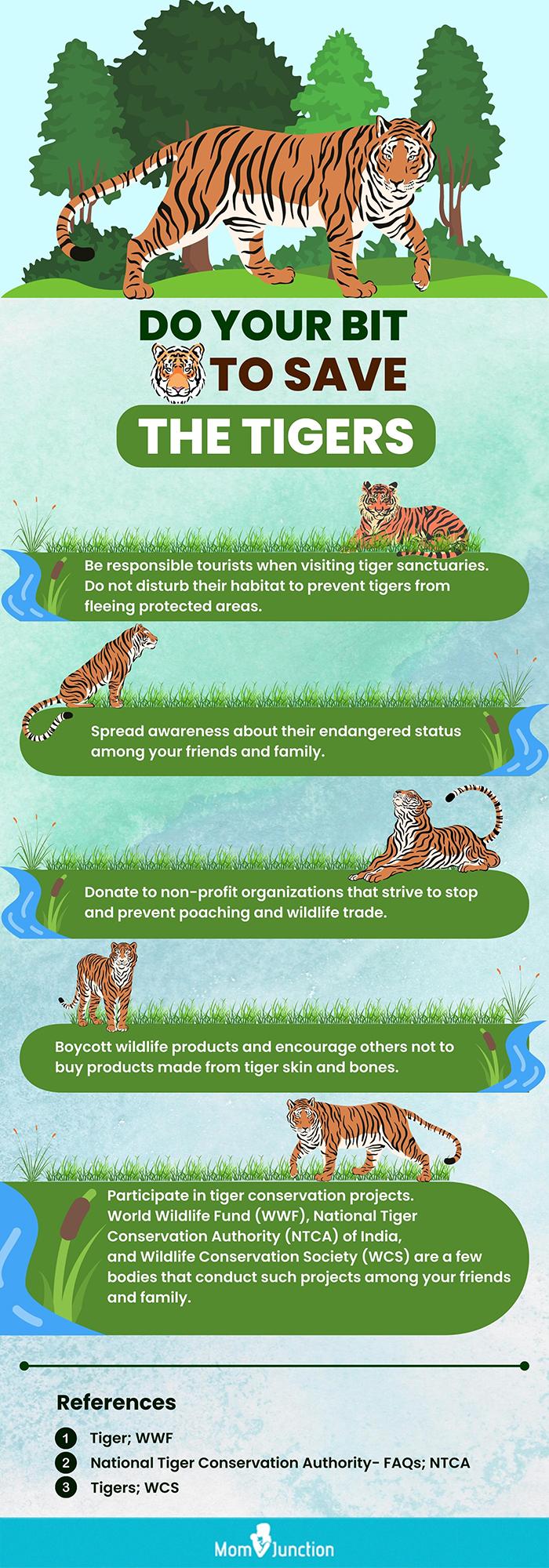 Tiger Facts for Kids  Classroom Learning Video 