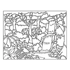 Nature Coloring Pages - Forest