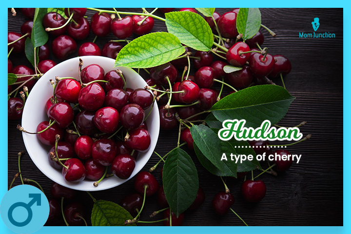 Hudson is a type of cherry
