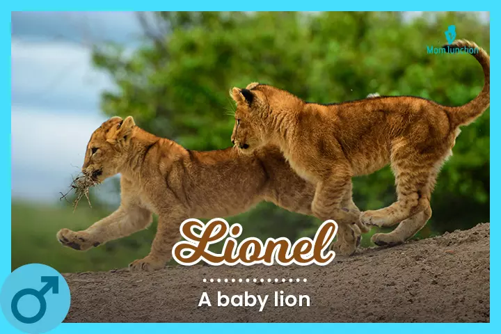 Lionel, a cute August baby name