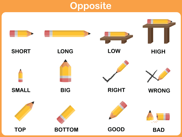 Opposite words English worksheets for kids