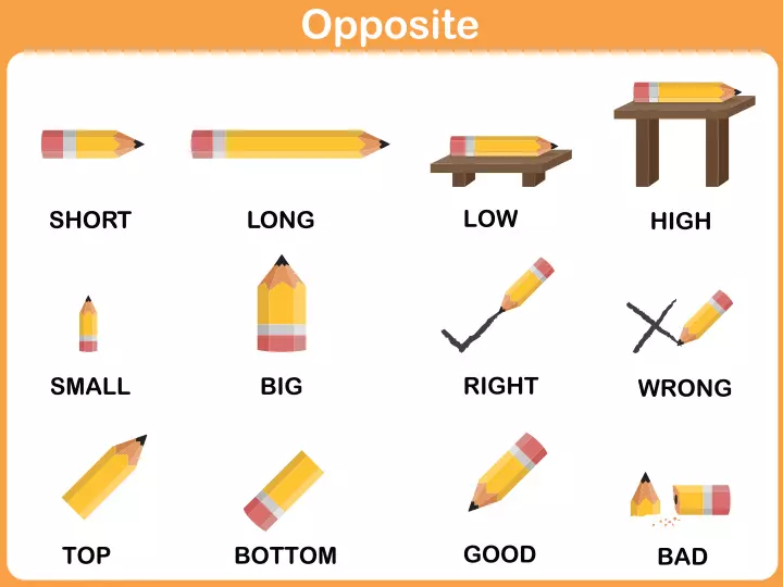 Opposite words English worksheets for kids