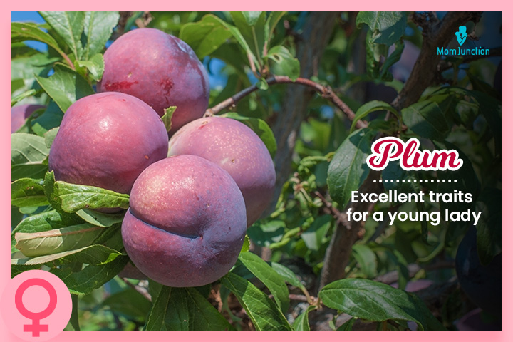 Plum is a fruit inspired baby name