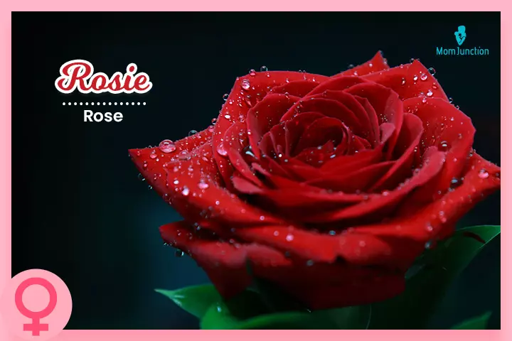 Rosie is a name inspired by the flower rose