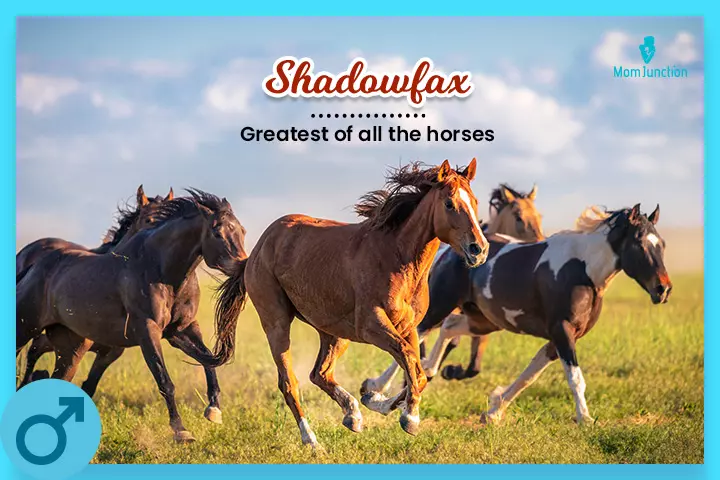 Shadowfax was the greatest of all the Middle-earth horses