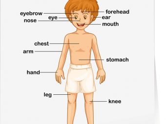 Teaching About Body Parts To Kids