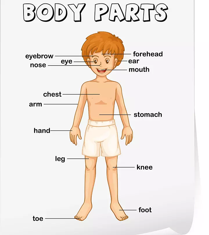 Teaching About Body Parts To Kids