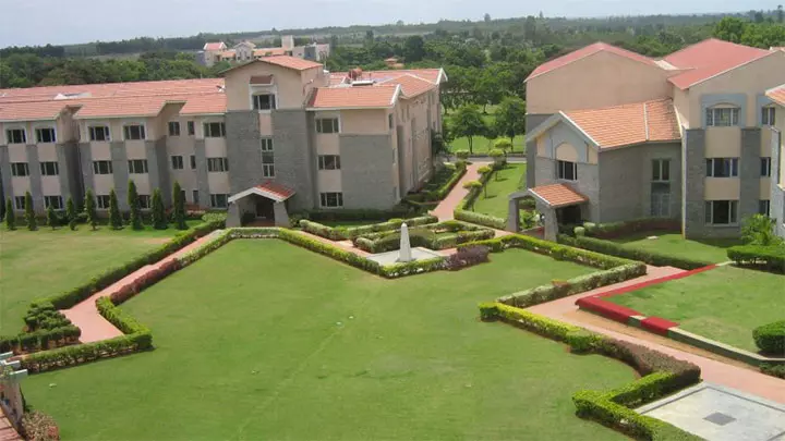 The International School Bangalore, top international school in Bangalore