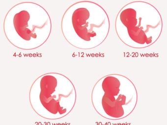 Pregnancy Weeks 37 onwards – Here’s What Happens Inside You
