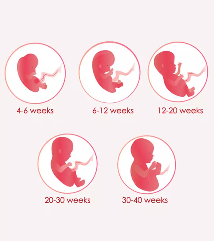 Pregnancy Weeks 37 Onwards – Here’s What Happens Inside You