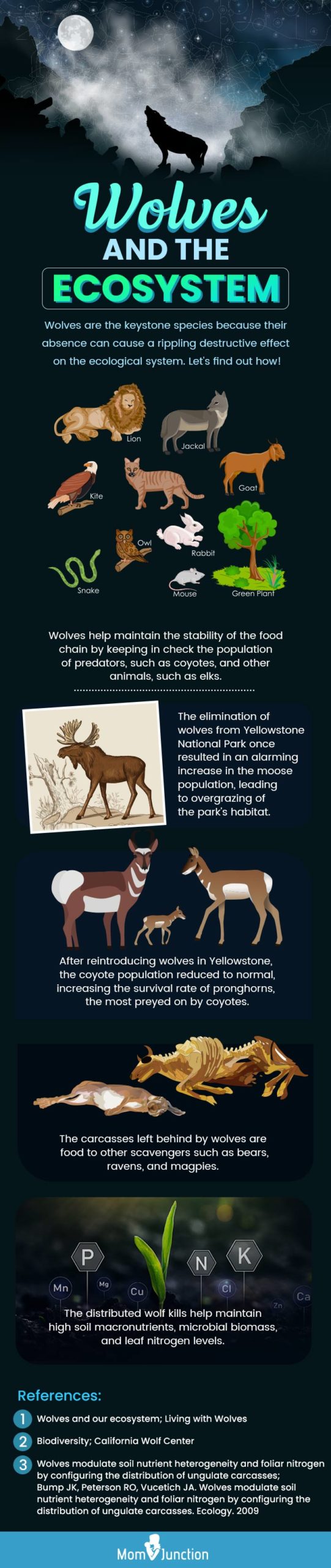 wolves and the ecosystem (infographic)
