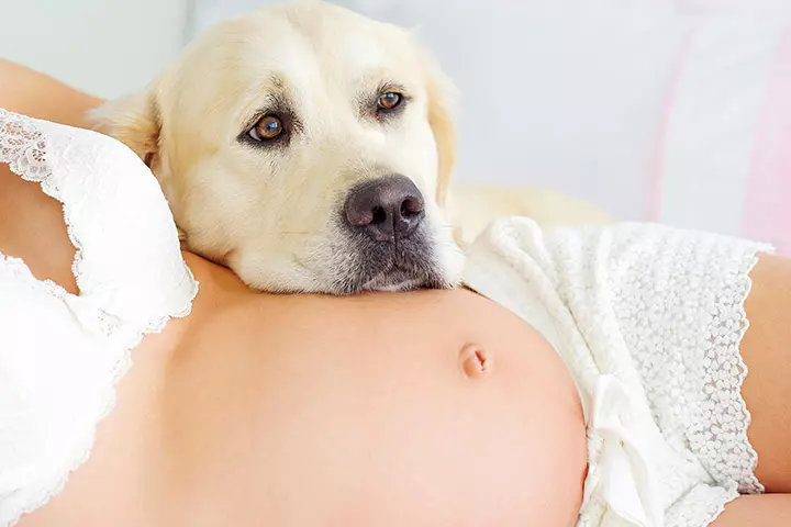 Your dog can sniff a new person somewhere!