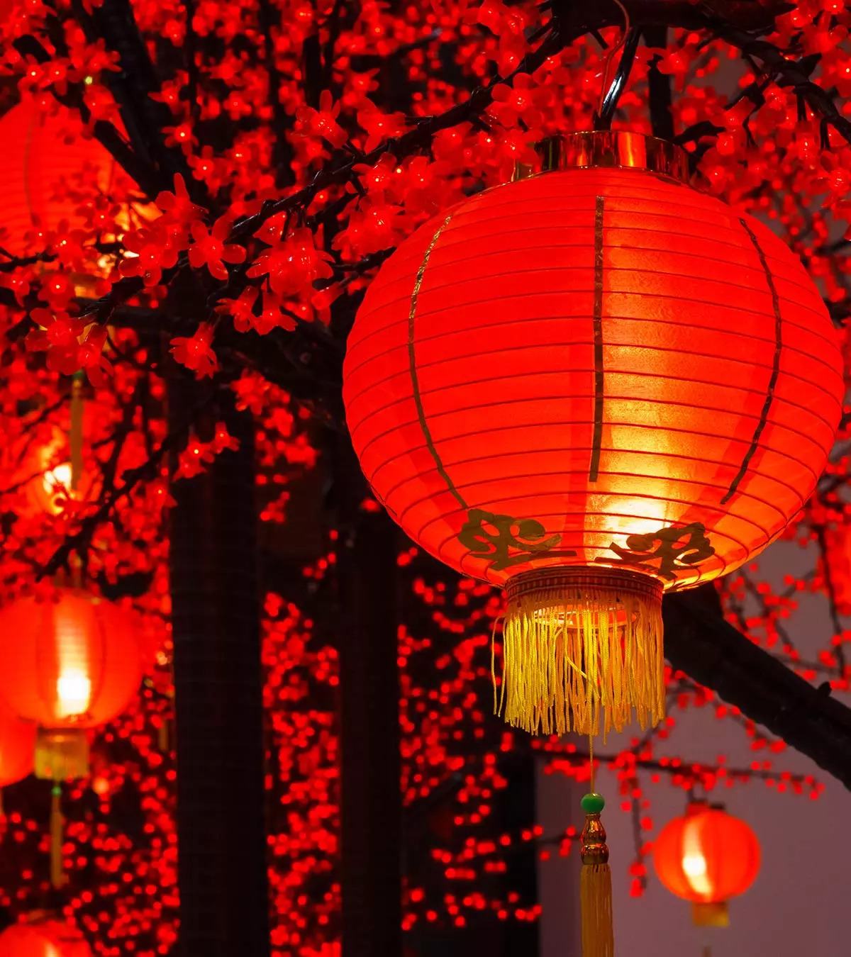 chinese new year lantern craft