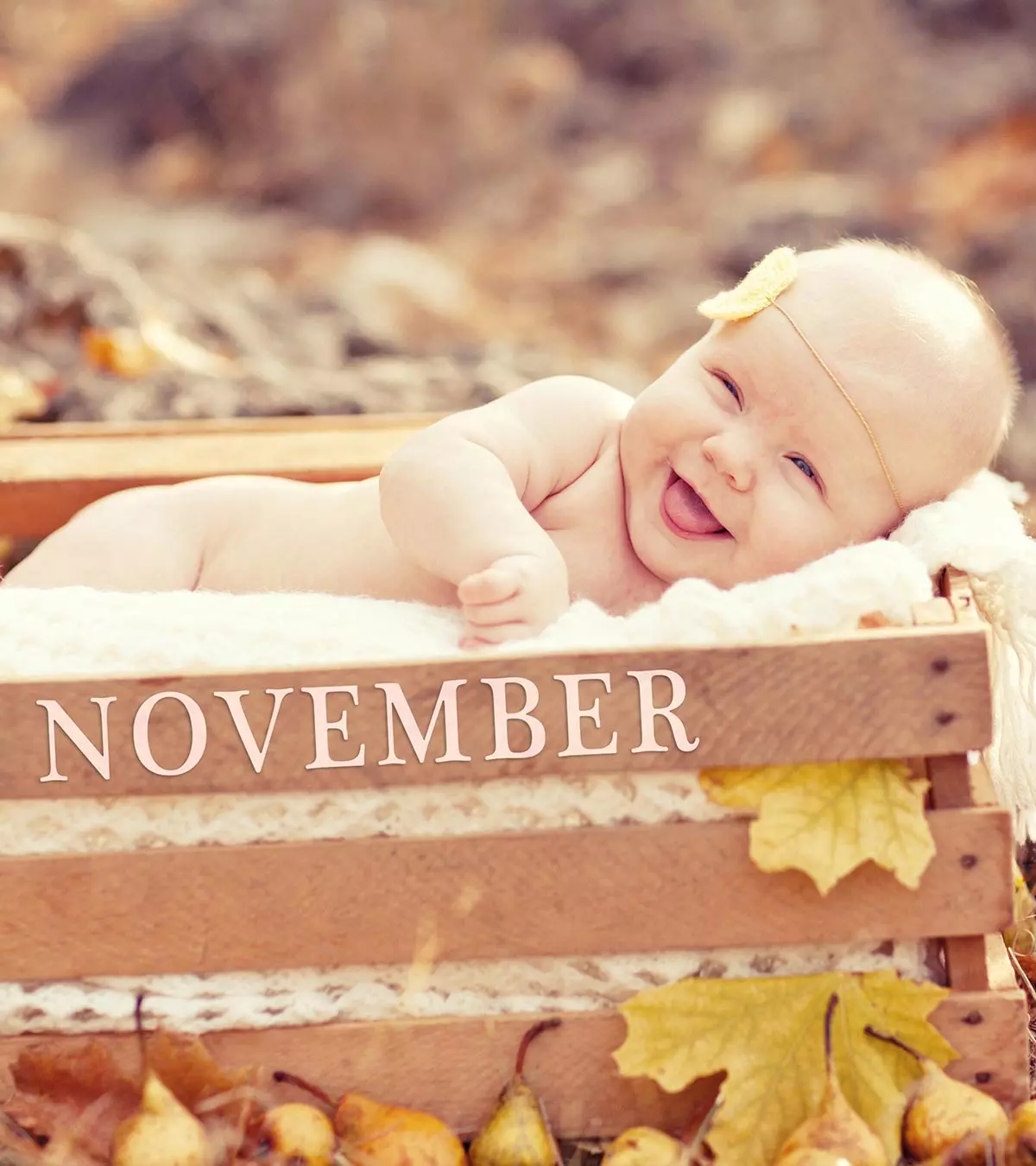 Give your baby a name inspired by the fall season's scenic beauty.