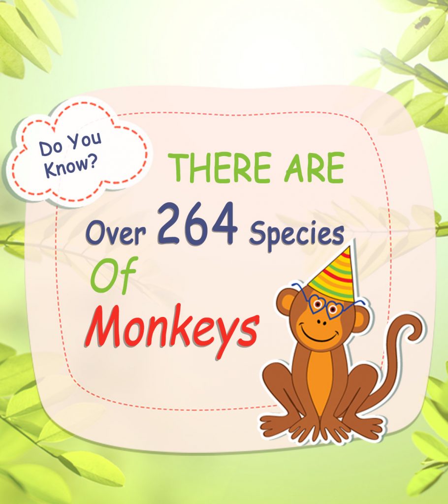 25 Cool And Interesting Monkey Facts For Kids