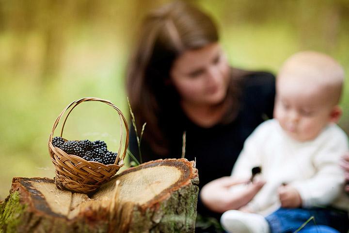 Blackberries For Babies Are They Safe Blackberries For Babies