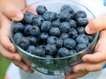 Blueberries For Kids Nutritional Facts, Benefits And Recipes