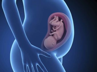 Guess What Happens To Your Internal Organs During Pregnancy