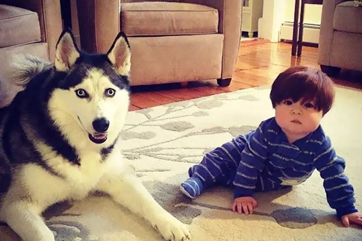 Guess who needs a haircut?