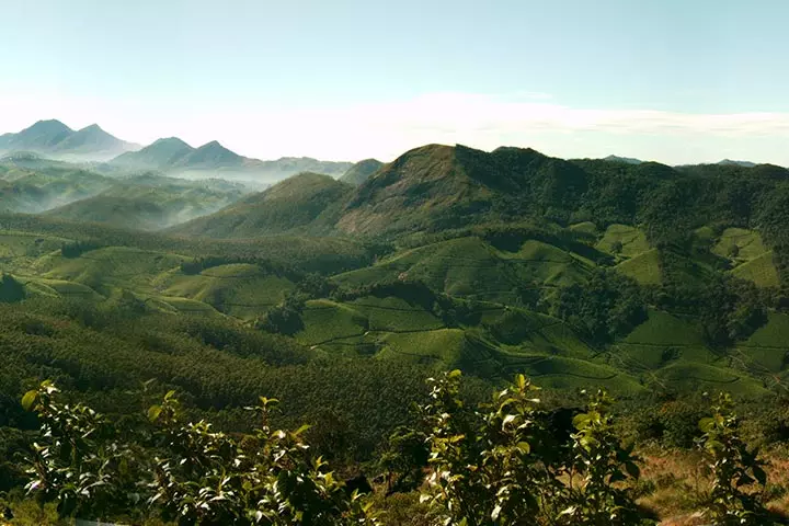 Kumarakom and Munnar Kumarakom and Munnar