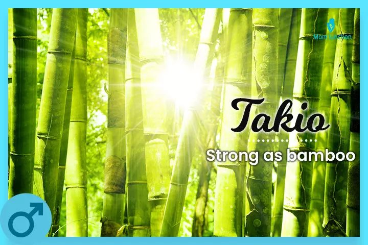 Strong as bamboo