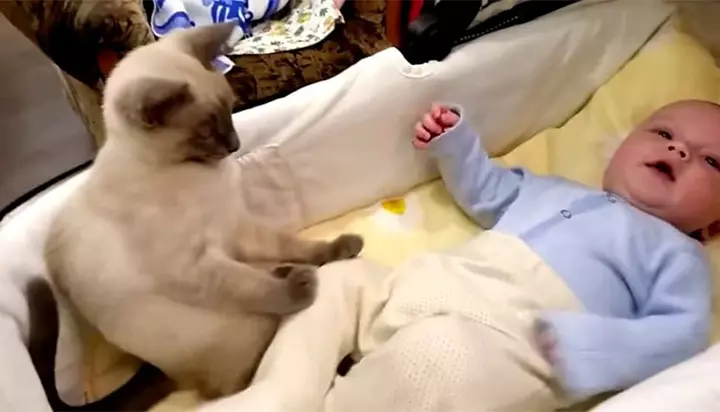 The baby is quiet again.