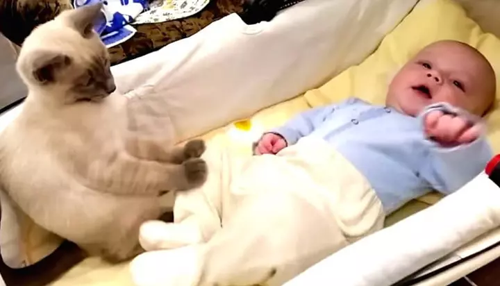 Watching the video makes it all the more cuter.