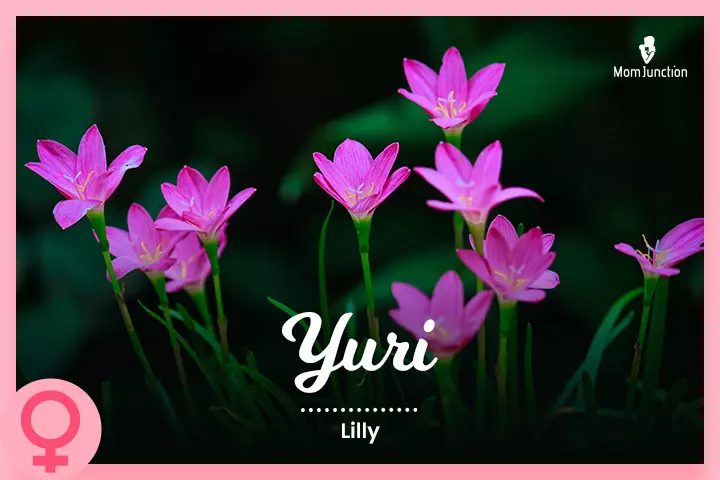 Yuri: Lily
