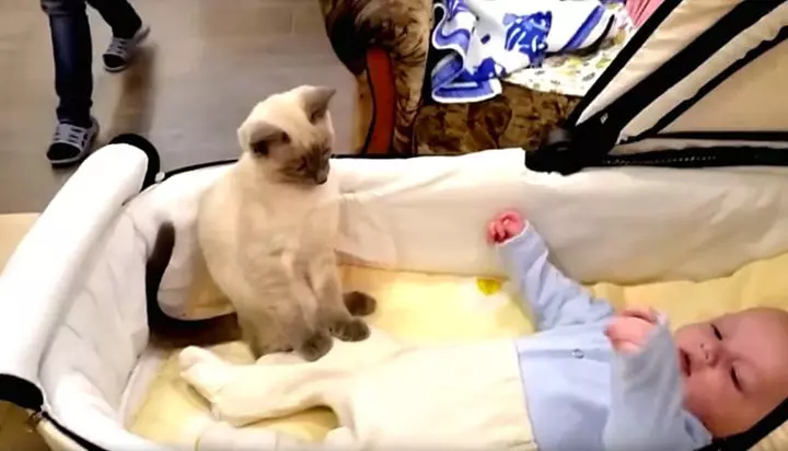 attention on the baby.