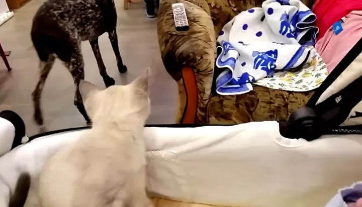 diaper or assume that your baby is hungry.