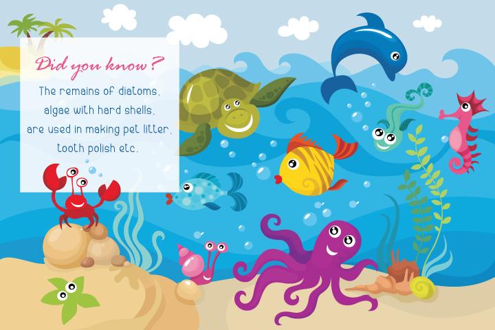 Educative Aquatic Animals Information For Kids