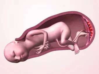 5 Reasons Why Your Baby Can't Exit Your Womb