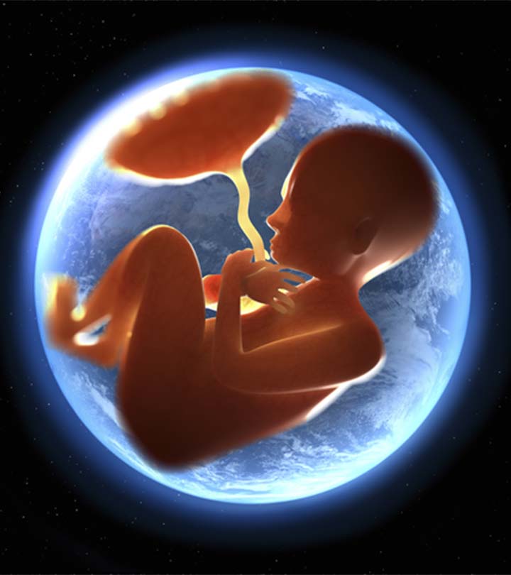 你永远不知道的5件事宝宝Would Learn In The Womb
