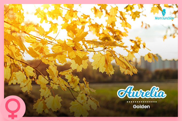 Aurelia, inspired by the season’s yellow leaves