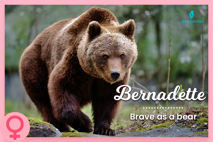 Brave as a bear
