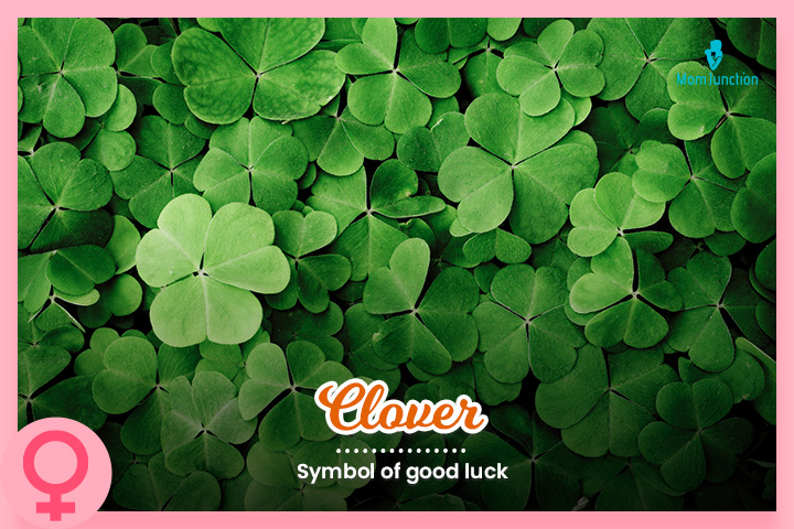 Clover is inspired by the Irish shamrock
