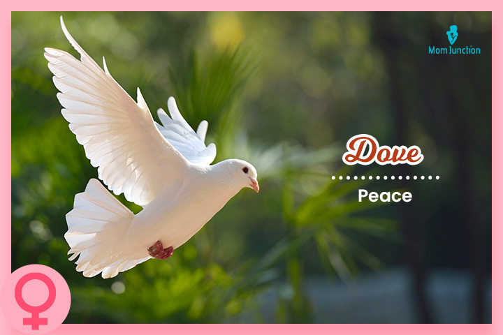 The name Dove is inspired by the bird, which symbolizes peace