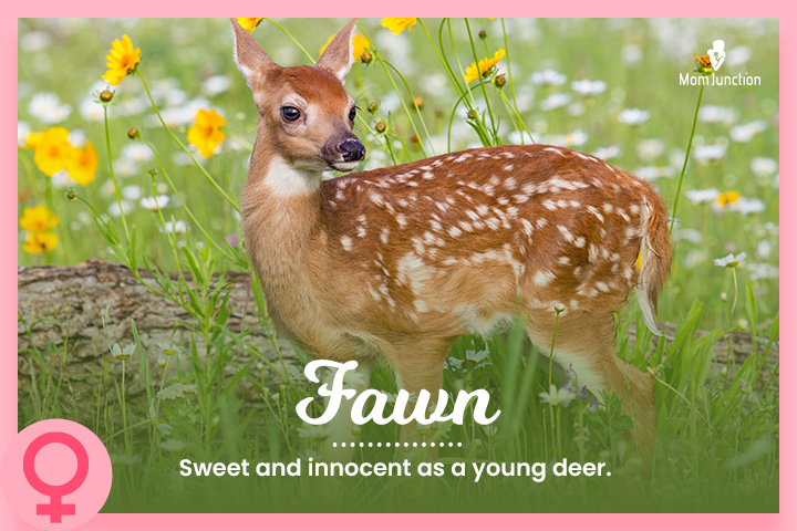 Fawn: Sweet and innocent as a young deer.