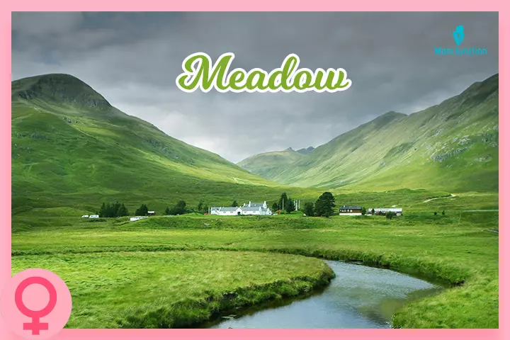 Meadow brings soft green fields to mind
