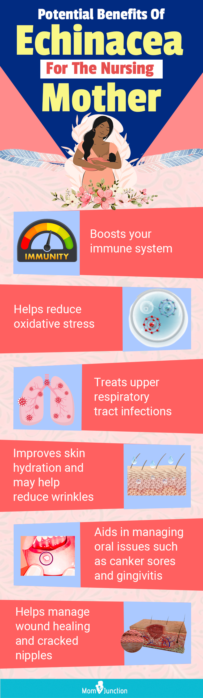 potential benefits of echincea for the nursing mother (infographic)