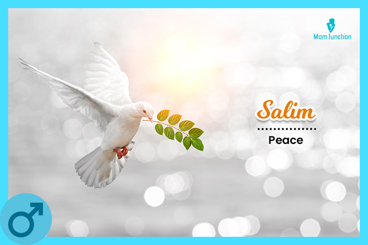 Salim means peace