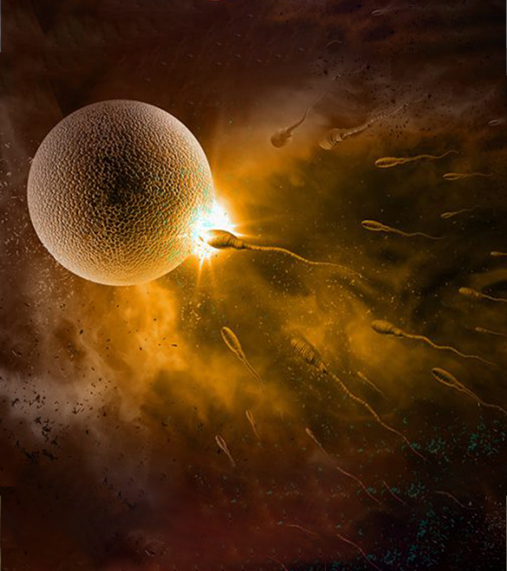 Stunning Revelation On What Happens When Sperm Meets The Egg