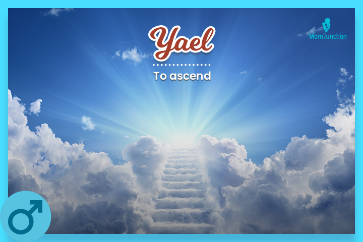 Yael is a common name in Israel.