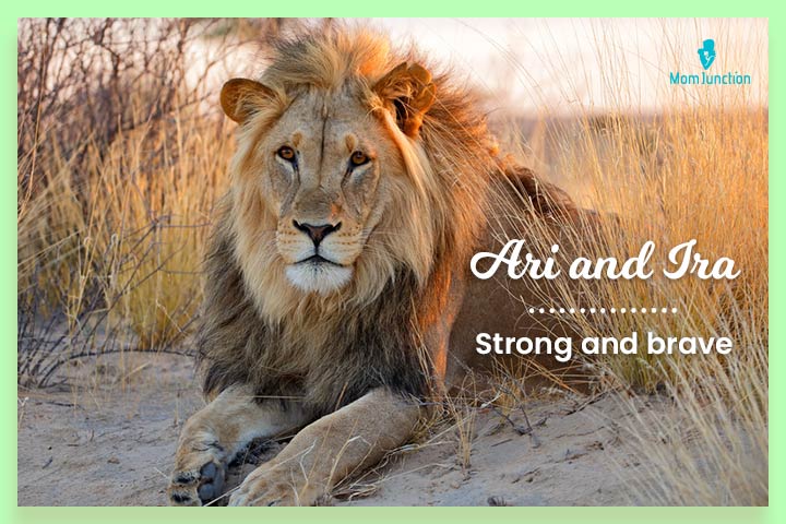 Ari means a lion and Ira is its palindrome 