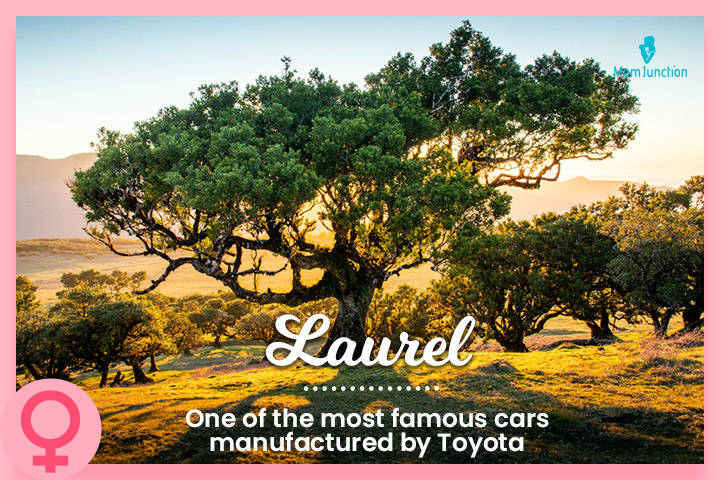 The name Laurel originates from the laurel tree