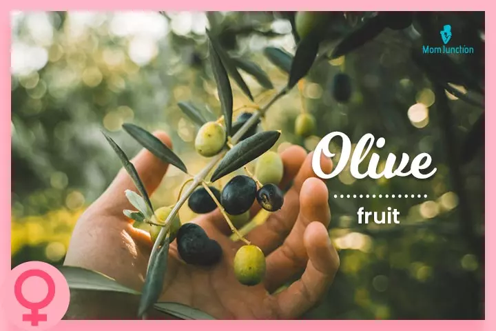 Olive symbolizes peace according to Greek mythology