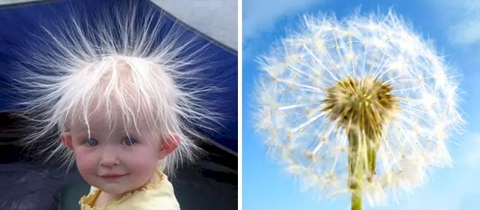 Sometimes babies could resemble a dandelion and still look super-cute